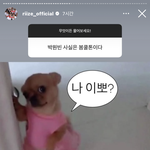 <b>원빈</b>처럼 생긴 사람이 이런짤쓰니까