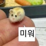 [드루와] 자휴 에<b>바냐</b> 근데 죽을거갗음