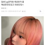 <b>yg</b> 전직원 아이돌 사생활 유출내용 요약
