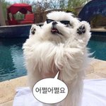 뭔