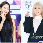 [공식] <b>SM</b>, 레드벨벳 웬디-예리 전속계약 종료 "완전체 활동은...