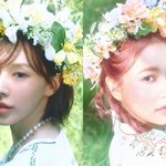 [모두드루와] 레드벨벳 웬디-예리, SM과 전속계약 종료…"그룹...