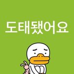 [댓글부탁해] 나 돈관리 잘 하고 있는 건지 봐 줄 사람…