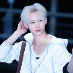 내가 1년동안 본 <b>니키</b> 사진중에