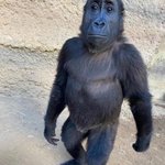 [댓글부탁해] <b>영어</b> 노베 도와줘...