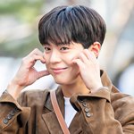 '폭싹 속았수다' 헌칠한 <b>호남</b>상 박보검, 앙코르 '핑계고'(종합)