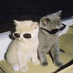 [추적추적] <b>비온다</b>