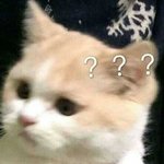 [오빠] 오늘도 여성스럽고 <b>조신</b>하고 차분하고