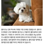 역사가