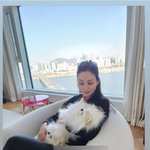 장동건' 고소영, 데뷔 33년 만에 '유튜브 오픈'…"많<b>관부</b>"