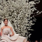 ‘이혼’ 이시영, <b>새신부</b> 효민 축하하러 갔다 “벚꽃구경 안가도 되겠어”