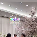 고소영, 티아라 효민 결혼 축하 "너무 예쁘다"