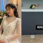 [댓글부탁해] '6월 결혼 예정' 박하나, 앵무새 5마리 키운다더니…집...