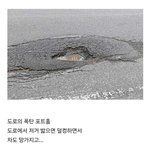 [웃픽] 미국에서 <b>도미노</b>가 한 쌈박한 마케팅
