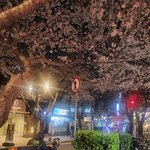 벚꽃 <b>예쁘다</b>