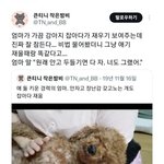 [웃픽] 원래 <b>안고</b> 두들기면 다 자