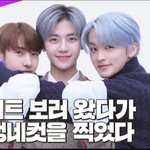 엔시티 알<b>페스</b> 중에 영원히 이해가 안 가는게