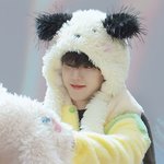 [큥이] 250408 큥이 13주년 버블왔답!!