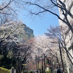 덜 <b>핌</b>