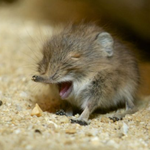 20대 후반. 출근 다들 몇시에 일어나서 해?