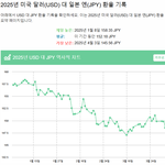 윤석열 탄핵 되면 환율 안정 된다더니 원화 가치는 대폭락 엔화 가치는
