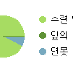 포스<b>타입</b>으로 한 달에 200 넘게 벌면