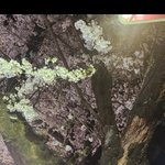 [방탈죄송] <b>키</b><b>몇</b>같음?