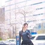 조이, ‘벚꽃향 러블리 비주얼’ (<b>동물</b>농장 출근길) [HD포토]