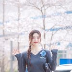 레드벨벳크러쉬 조이, ‘벚꽃보다 조이’ (<b>동물</b>농장 출근길) [HD포토]