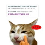 [댓글부탁해] 너네 <b>아빠앞</b>에서 옷 어디까지 가능?