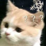 <b>어떤날</b>은