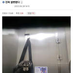 [쓰담쓰담] 엘베에서 만난 강아지