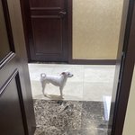 [드루와] 이정도면 서울에서 괜찮은 <b>원룸</b> 구할 수 있음?