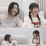 레드벨벳 크러쉬 조이X아이브 레이, 집 찾는 사이…어떻게 친해졌나(나혼산)