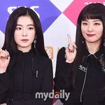 레드벨벳-아이린&amp;슬기, 5년만에 컴백 확정…5월 새 <b>미니</b>앨범 발표