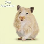 [어케생각해] <b>취미</b>로 그린 햄스터 그림