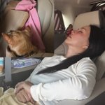 '2년만 복귀' 엄정화, 차에서 기절했나…"꿀 같은 대기 시간"