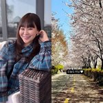 정주리, 이래야 5형제 키우나…벚꽃놀이 아닌 '벚꽃<b>러닝</b>'