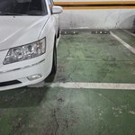 개 같은 주차<b>심보</b>