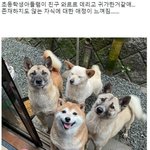 [드루와] 천관사복 소설 본사람 들어<b>와바</b>
