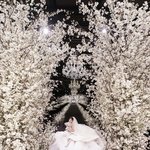 '국내 2벌 드레스+초호화 장식' 효민 결혼식, 셀프 플래닝 웨딩이었다...