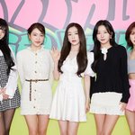 완전체 재계약 불발→해체는 <b>NO</b>…레드벨벳도 '따로 또 같이'[초점S]