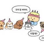 너희라면 둘 중에 뭐 고를 거임?