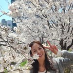 강경준 용서' 장신영, 벚꽃 나들이로 봄 <b>만끽</b>…하트 이모티콘까지