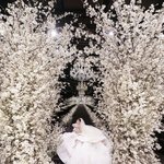 드레스+호텔 벚꽃웨딩…효민 결혼식, '셀프 플래닝'이었다 [<b>MD</b>이슈]