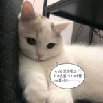 <b>자요</b>