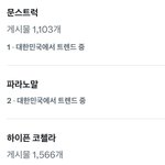 엔하이픈 코첼라 실트 <b>장악</b>함