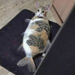 맨날 사람 꼽<b>주고</b> 뒷담 까는 애들 특징이