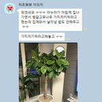 [쓰담쓰담] 마누라 부탁을 들어줬을 뿐인데 밥을 안준다 ㅠㅠ