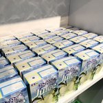 나 웹소설도 보고 벨툰도 보고 알페스도 하는데